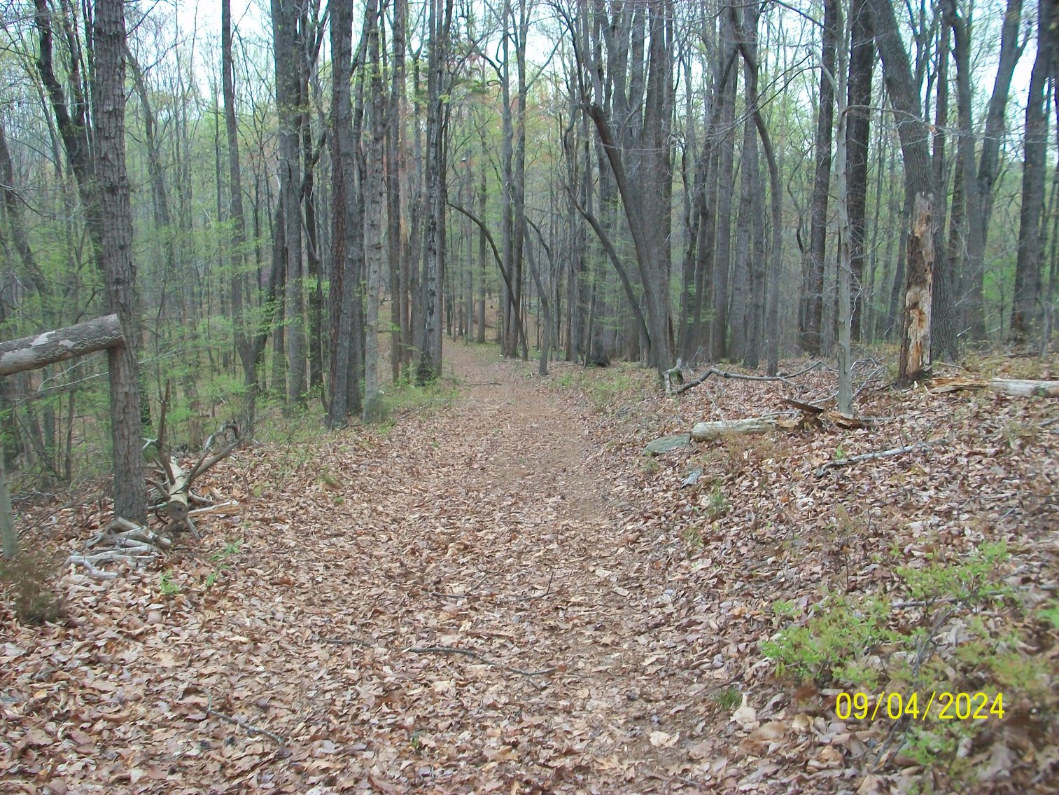 Image for Property #17 Ravenscroft Rd and Dyers Store Rd - 57.76 acres