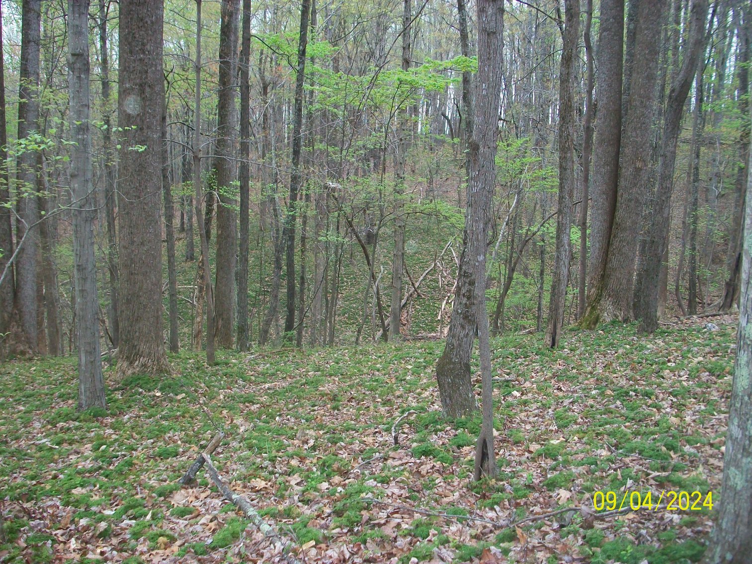 Image for Property #17 Ravenscroft Rd and Dyers Store Rd - 57.76 acres