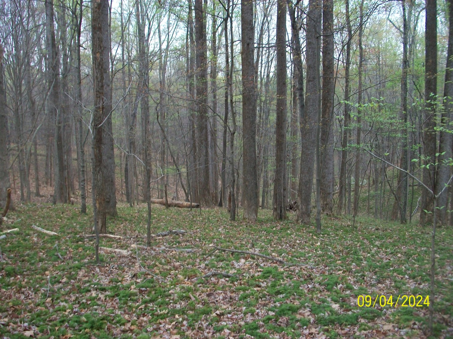 Image for Property #17 Ravenscroft Rd and Dyers Store Rd - 57.76 acres