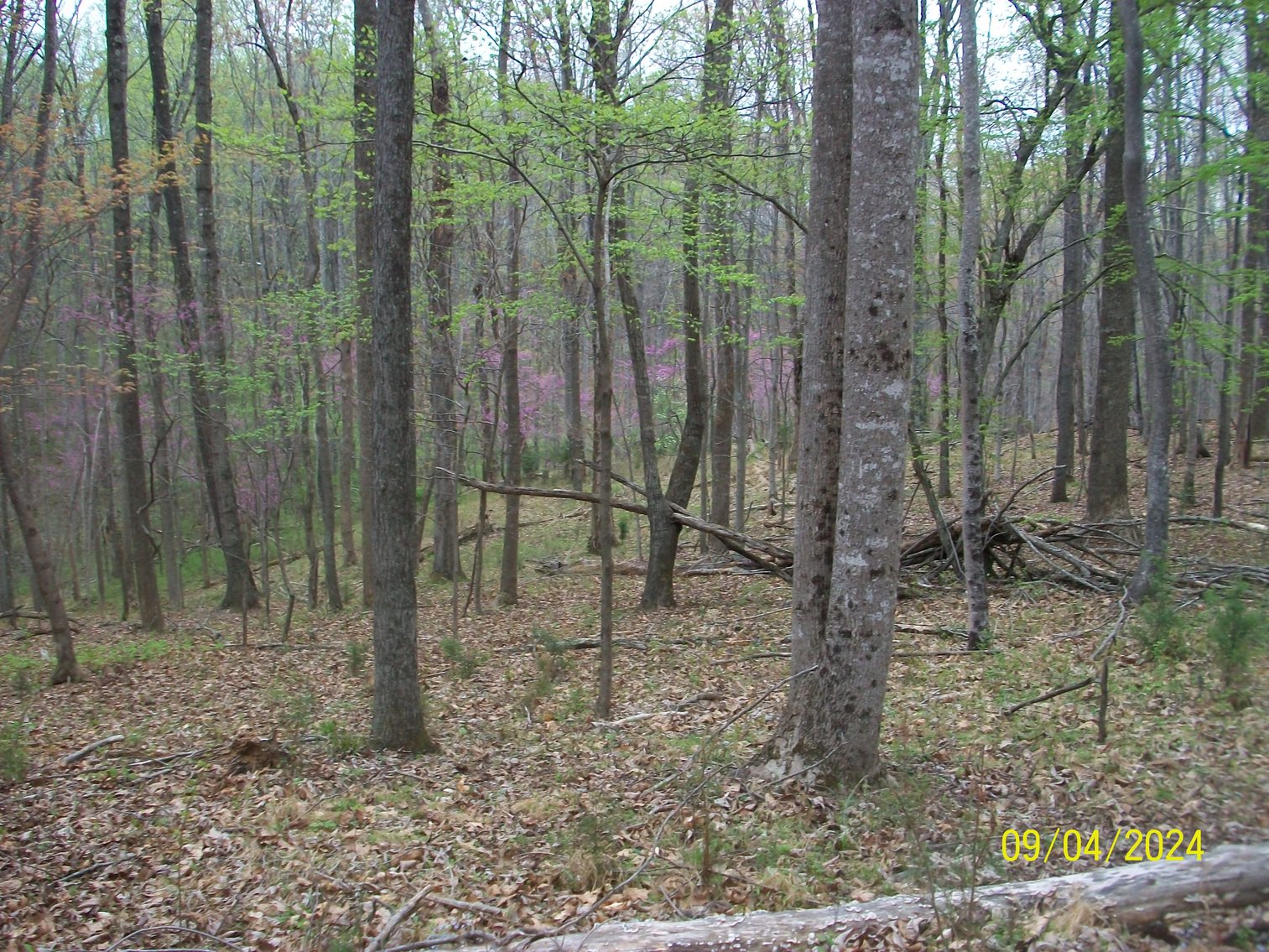 Image for Property #17 Ravenscroft Rd and Dyers Store Rd - 57.76 acres