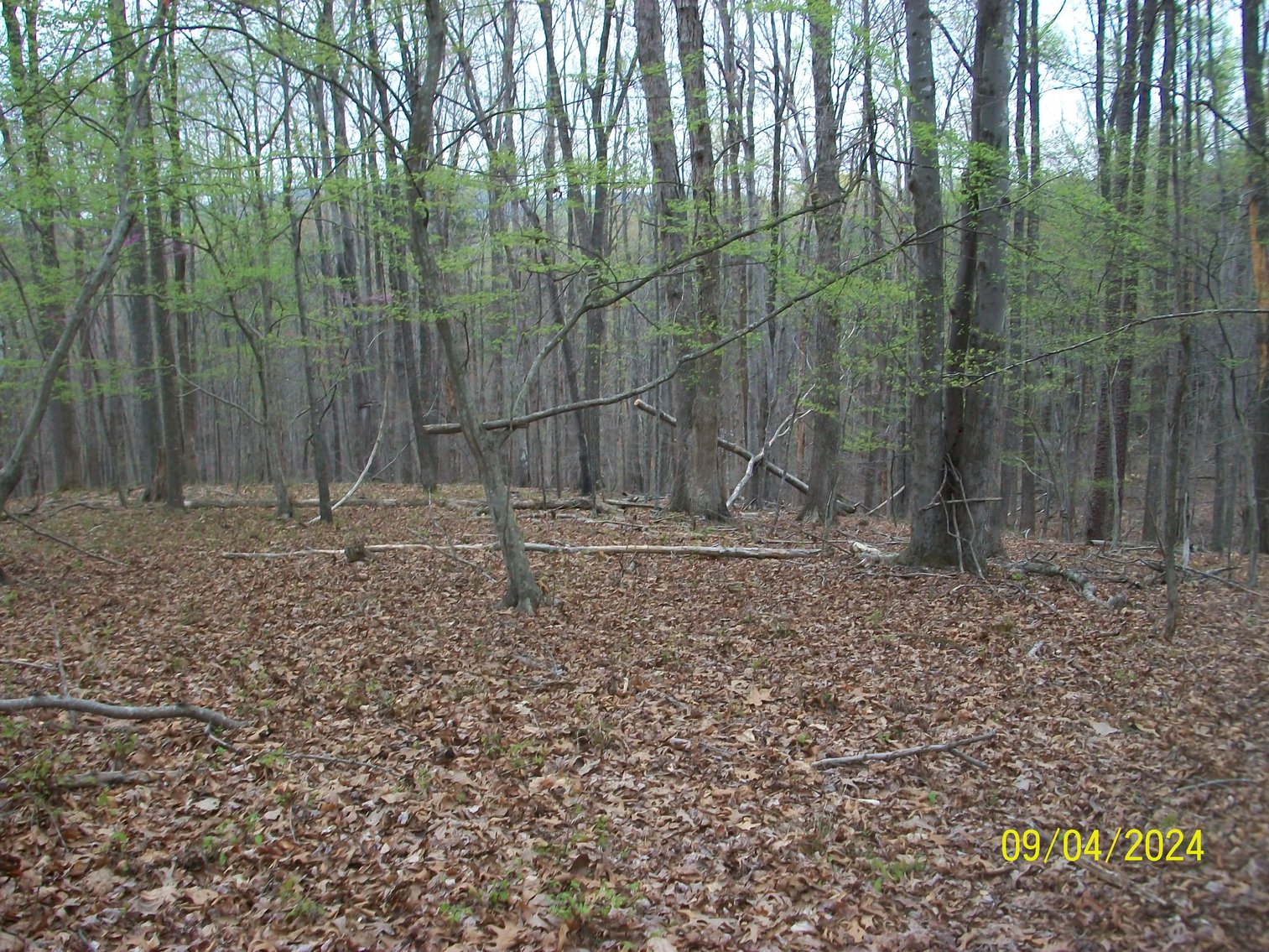 Image for Property #17 Ravenscroft Rd and Dyers Store Rd - 57.76 acres