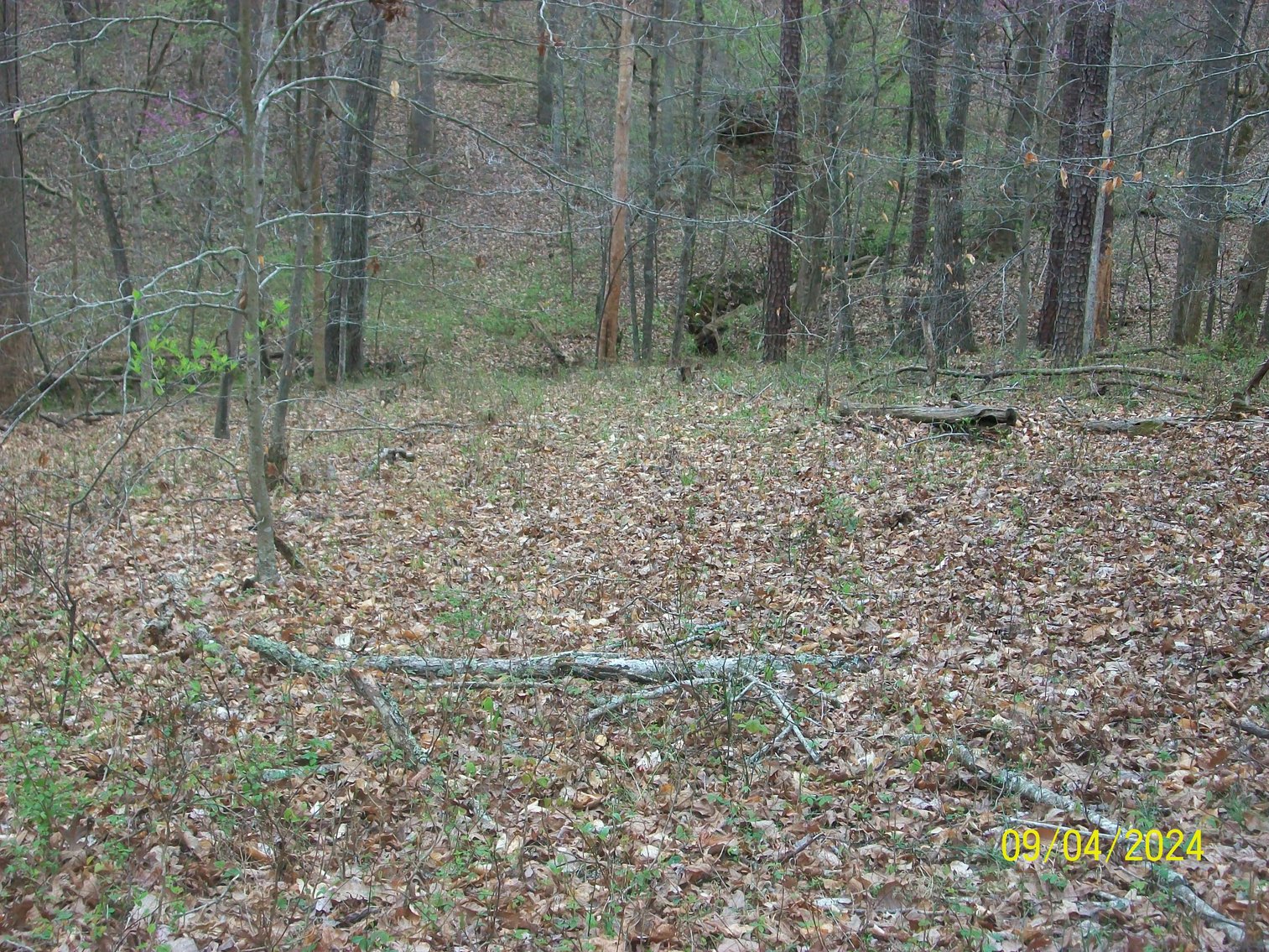 Image for Property #17 Ravenscroft Rd and Dyers Store Rd - 57.76 acres