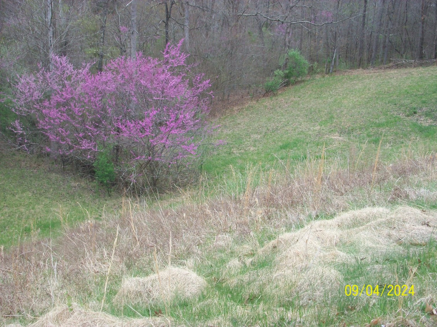 Image for Property #17 Ravenscroft Rd and Dyers Store Rd - 57.76 acres