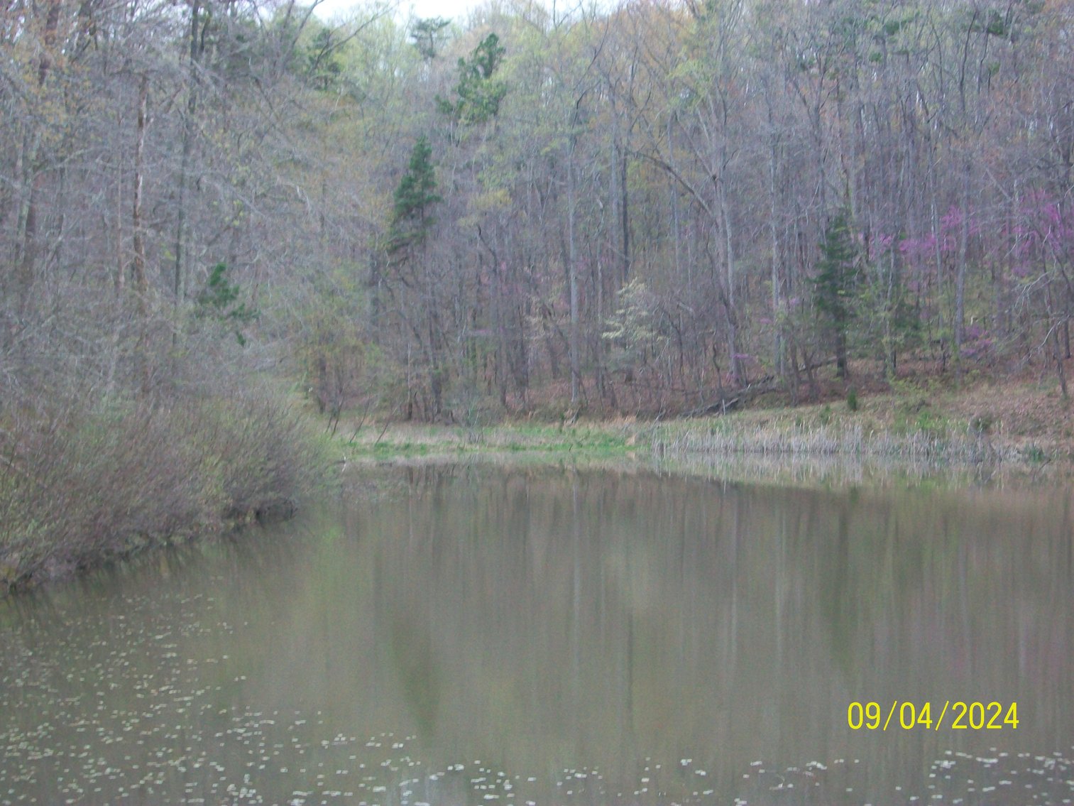 Image for Property #17 Ravenscroft Rd and Dyers Store Rd - 57.76 acres