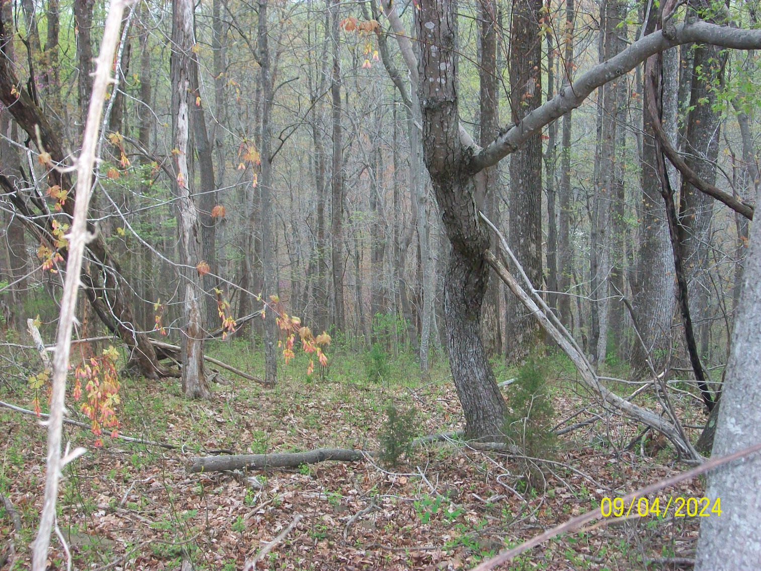 Image for Property #17 Ravenscroft Rd and Dyers Store Rd - 57.76 acres