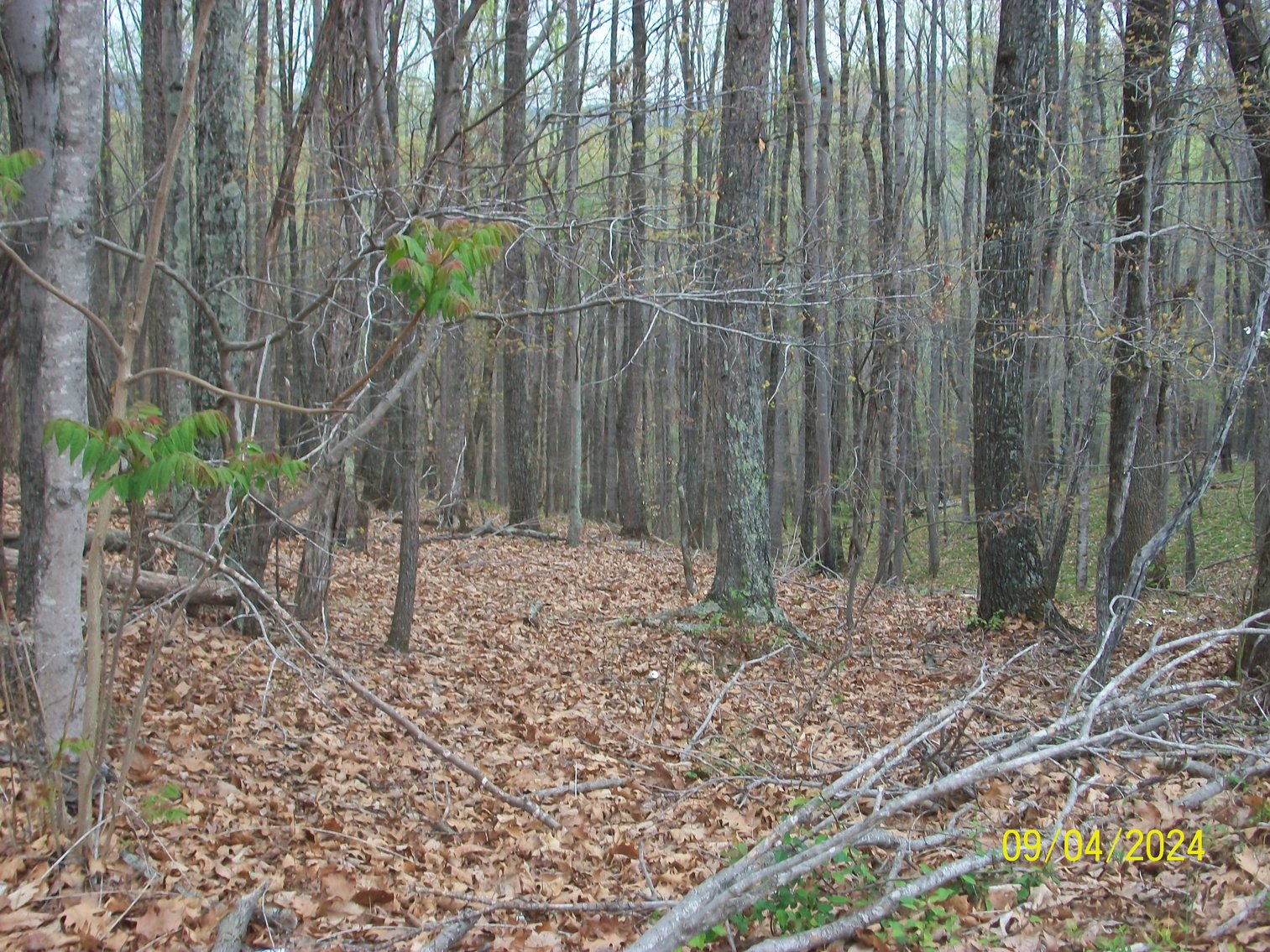 Image for Property #17 Ravenscroft Rd and Dyers Store Rd - 57.76 acres