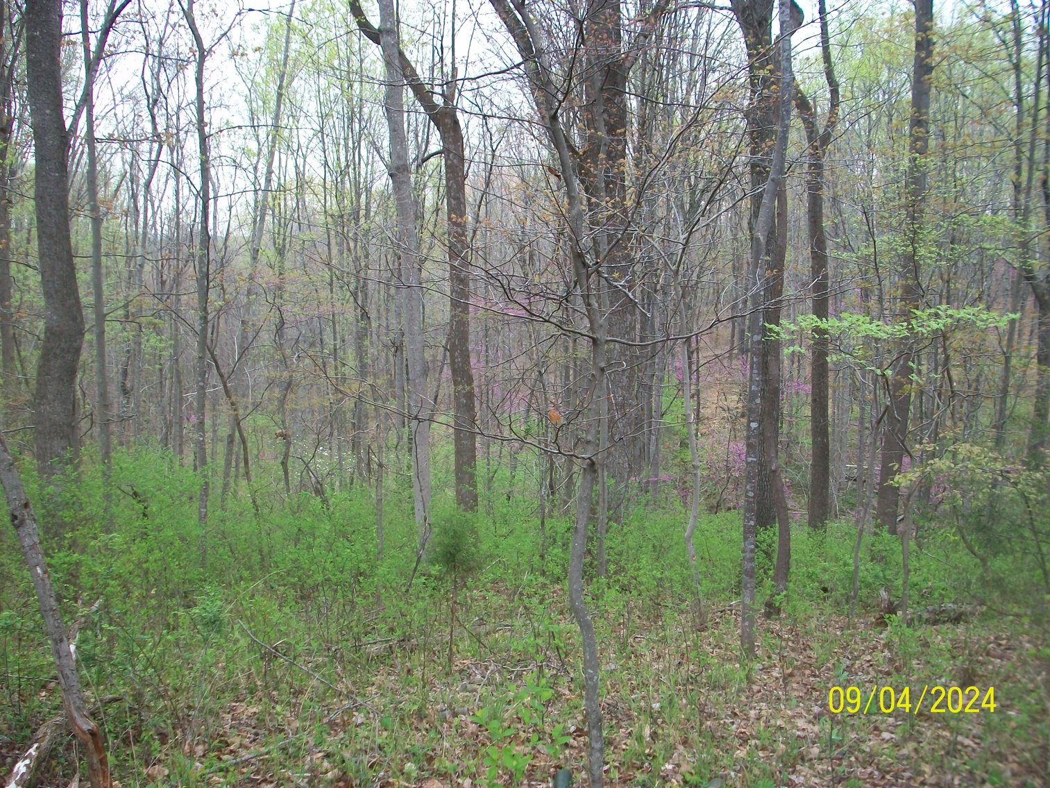 Image for Property #17 Ravenscroft Rd and Dyers Store Rd - 57.76 acres