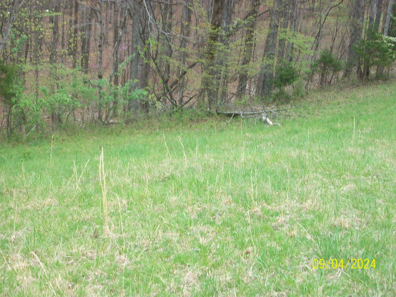 Image for Property #17 Ravenscroft Rd and Dyers Store Rd - 57.76 acres