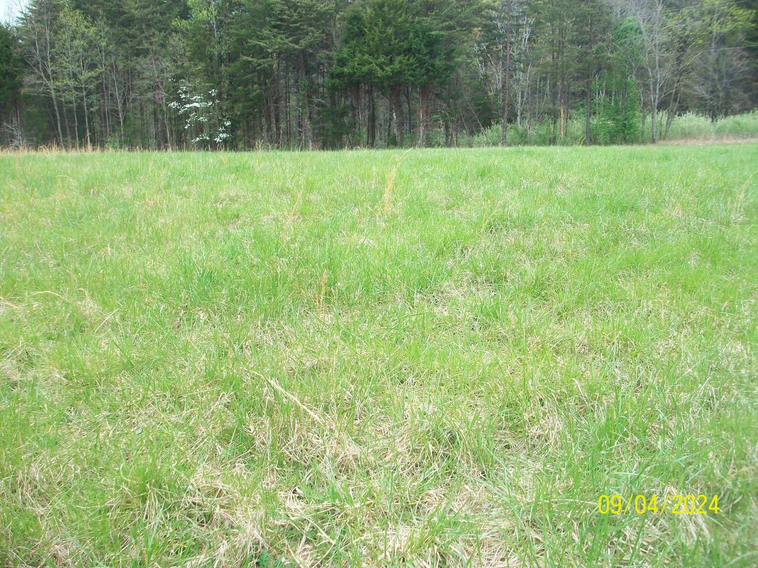 Image for Property #17 Ravenscroft Rd and Dyers Store Rd - 57.76 acres