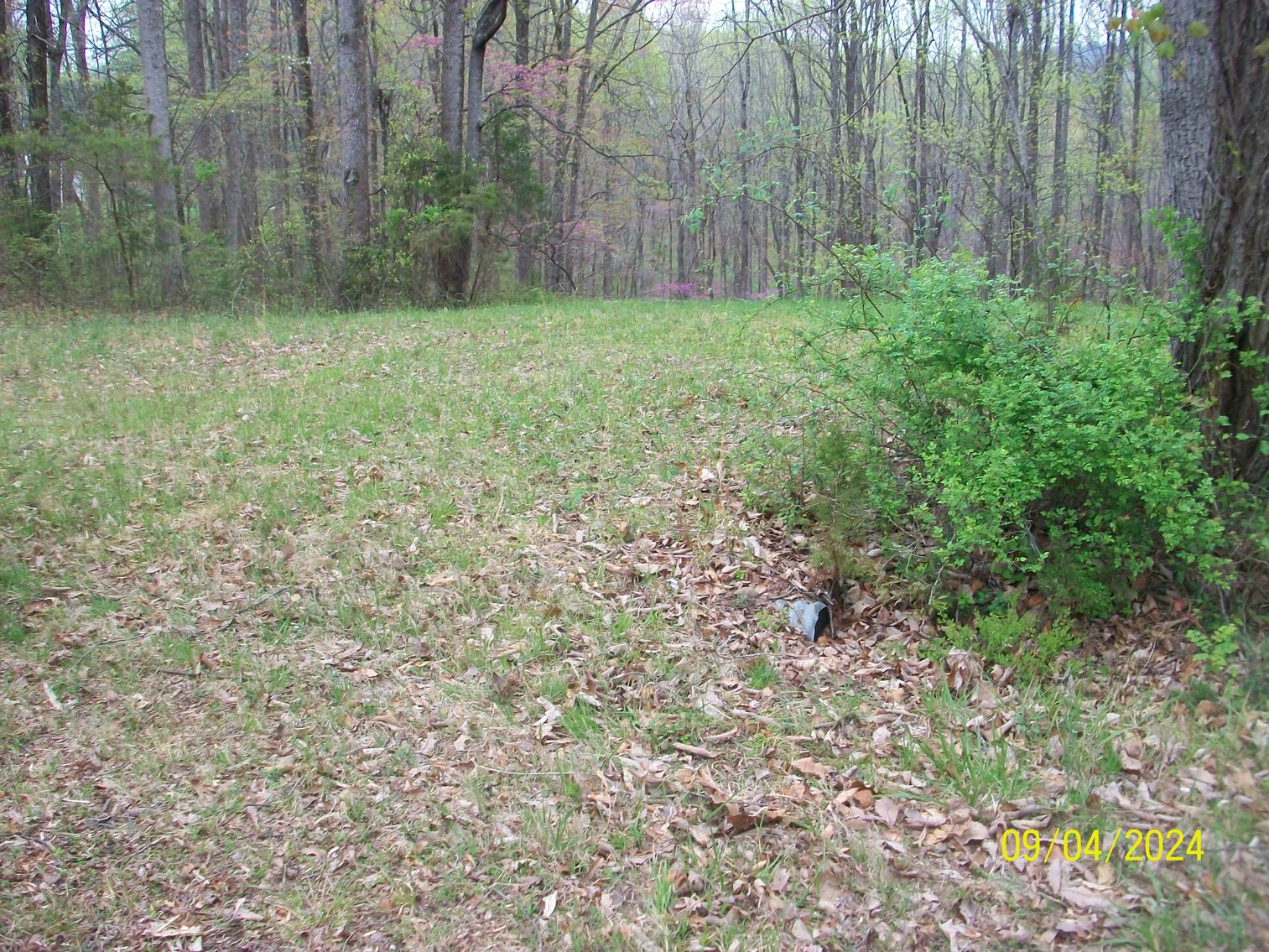 Image for Property #17 Ravenscroft Rd and Dyers Store Rd - 57.76 acres