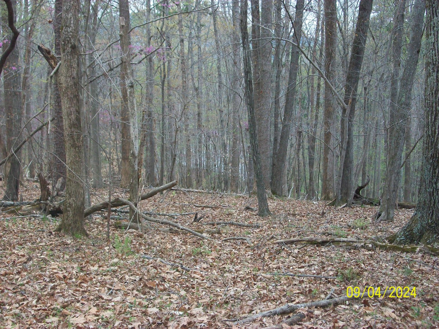 Image for Property #17 Ravenscroft Rd and Dyers Store Rd - 57.76 acres