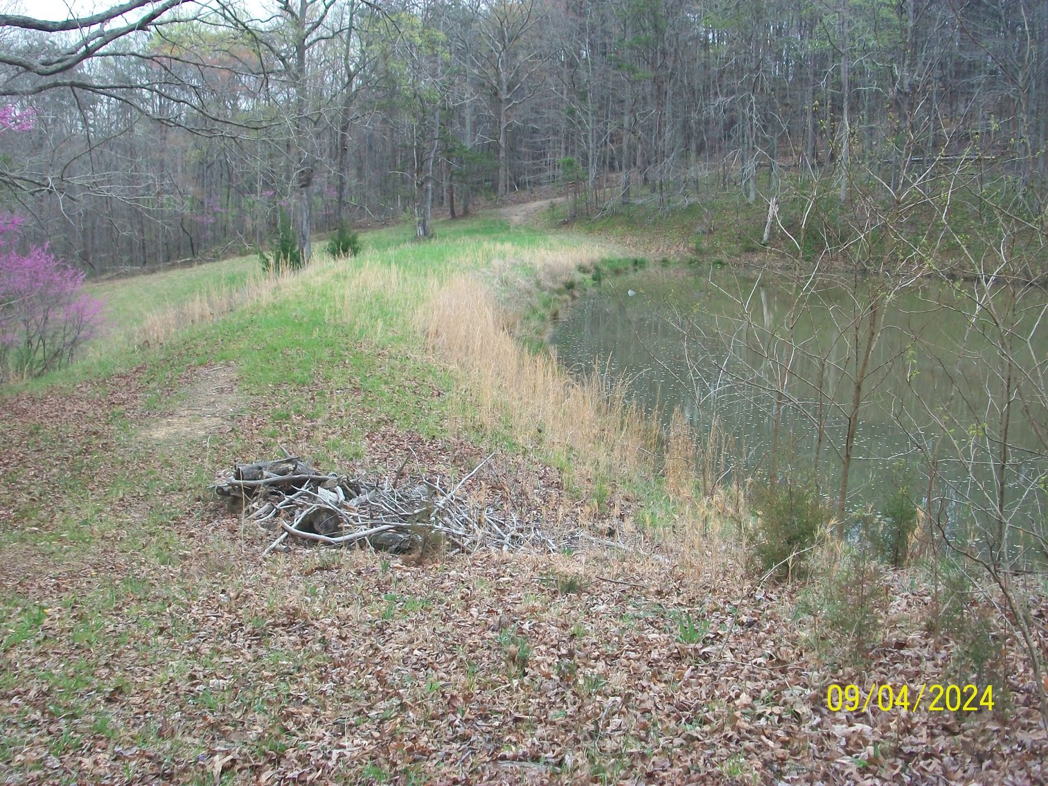 Image for Property #17 Ravenscroft Rd and Dyers Store Rd - 57.76 acres