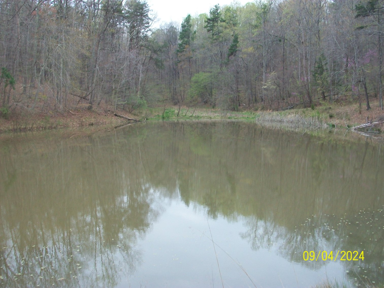 Image for Property #17 Ravenscroft Rd and Dyers Store Rd - 57.76 acres