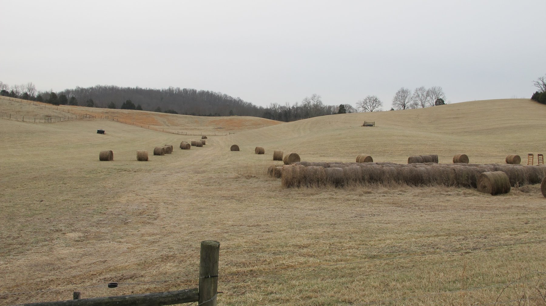 Image for ABSOLUTE TRUSTEE AUCTION - 85.65 ACRES WITH BARN - BUCHANAN, VA