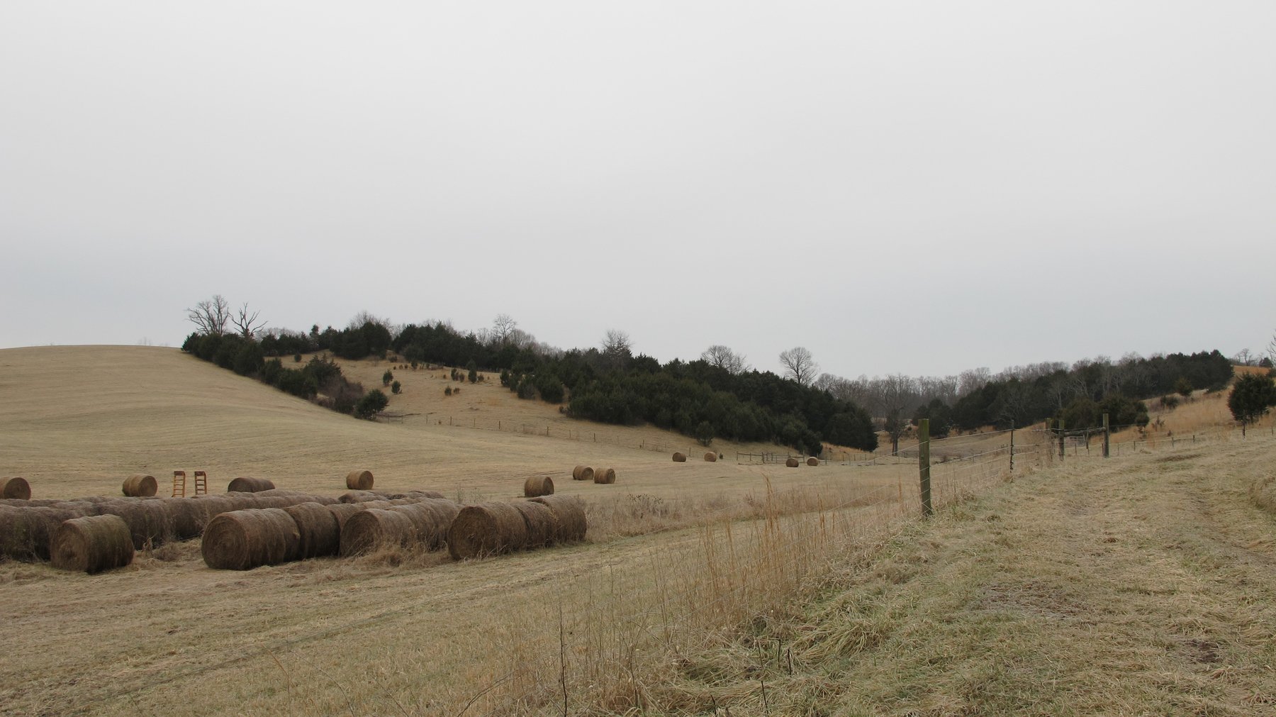 Image for ABSOLUTE TRUSTEE AUCTION - 85.65 ACRES WITH BARN - BUCHANAN, VA