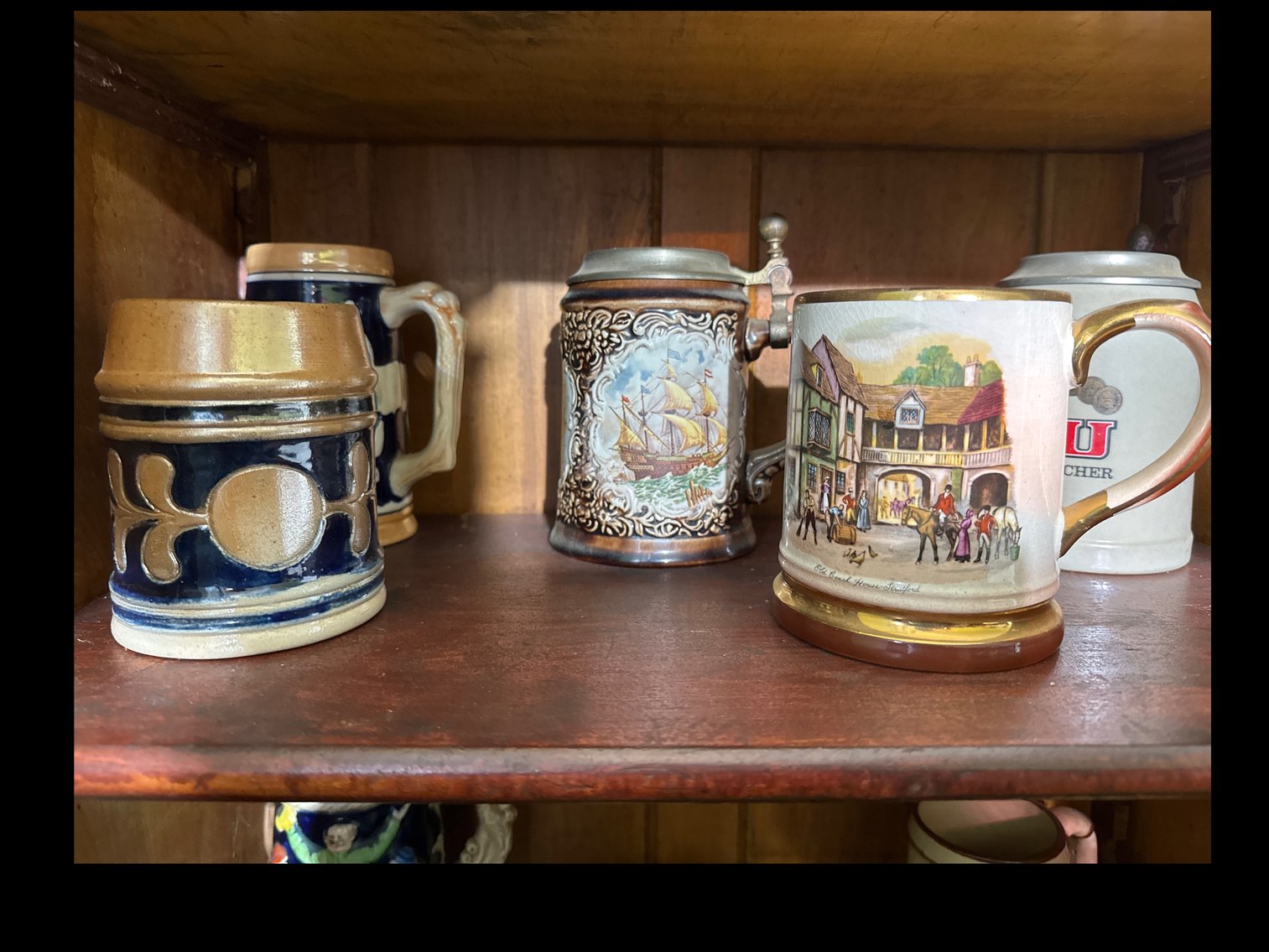 Image for Assorted Steins