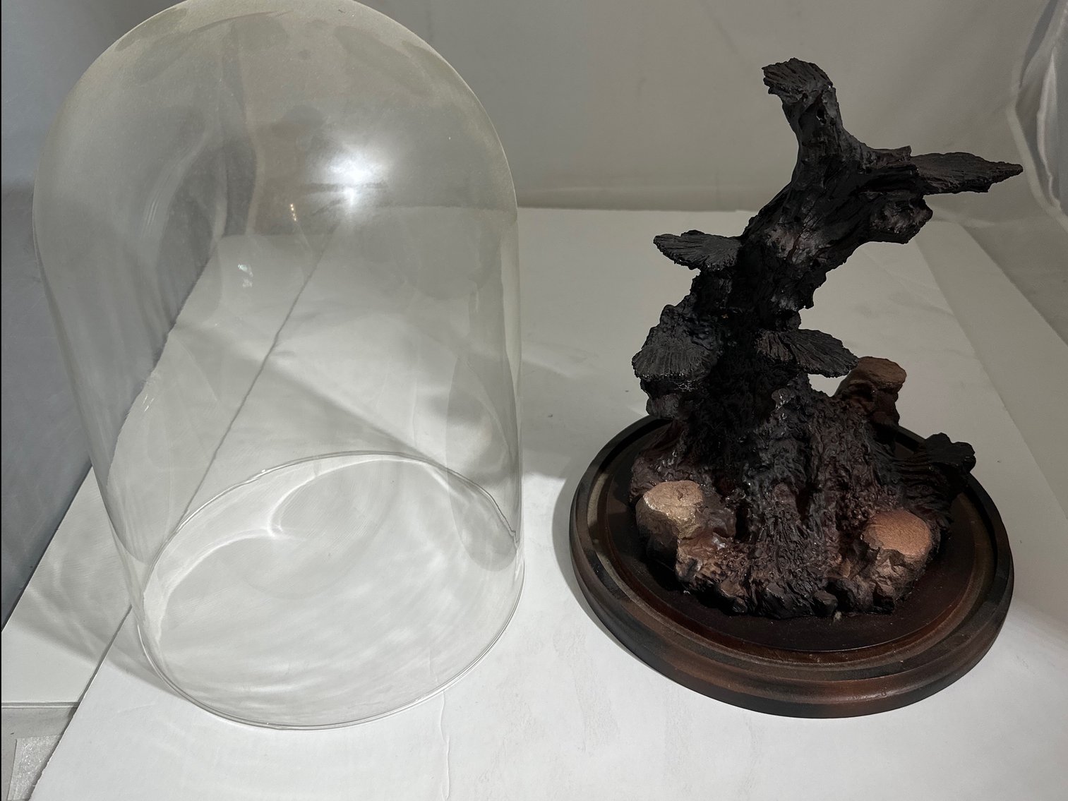 Image for Carving under glass