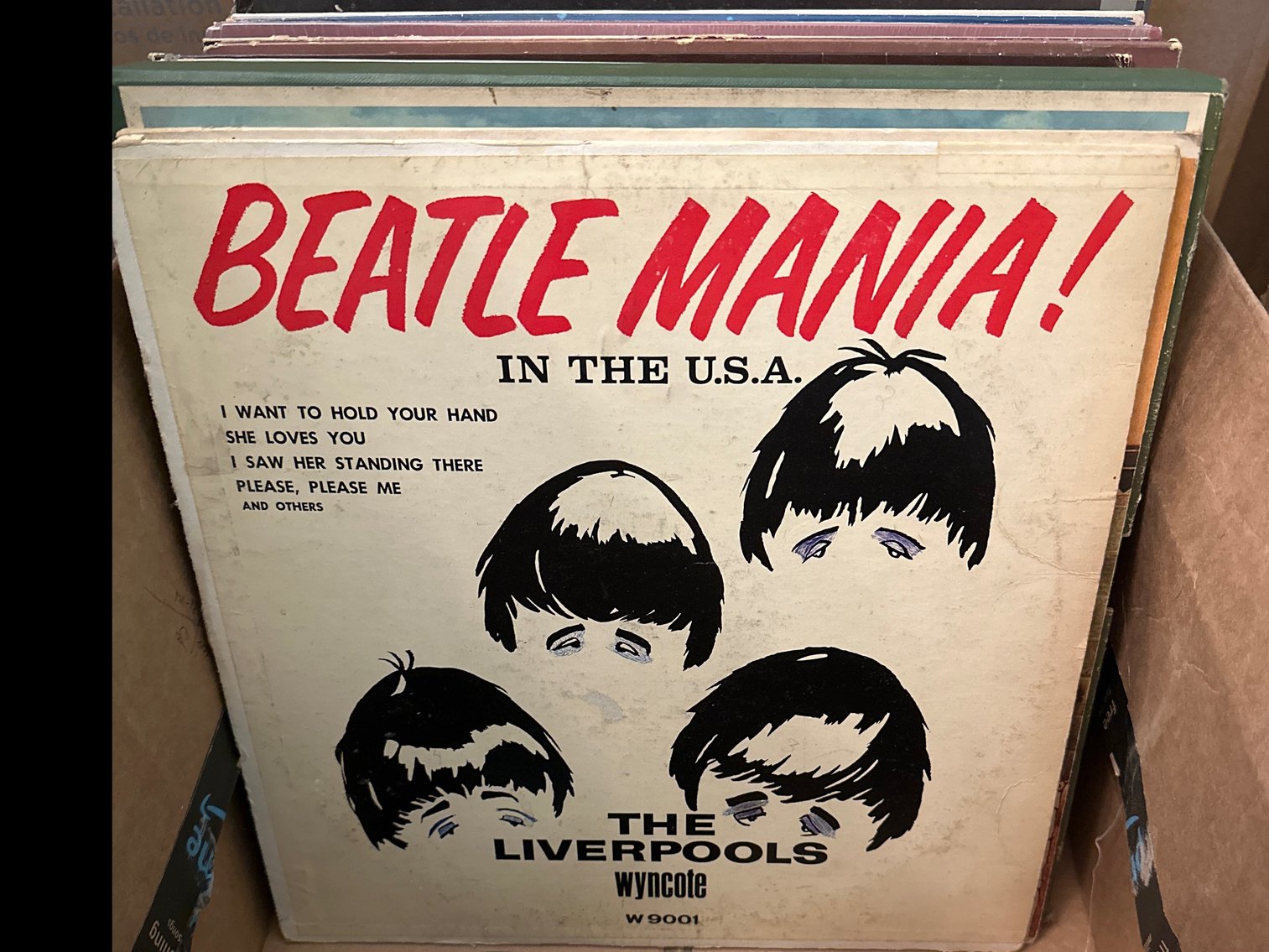 Image for Vinyl records