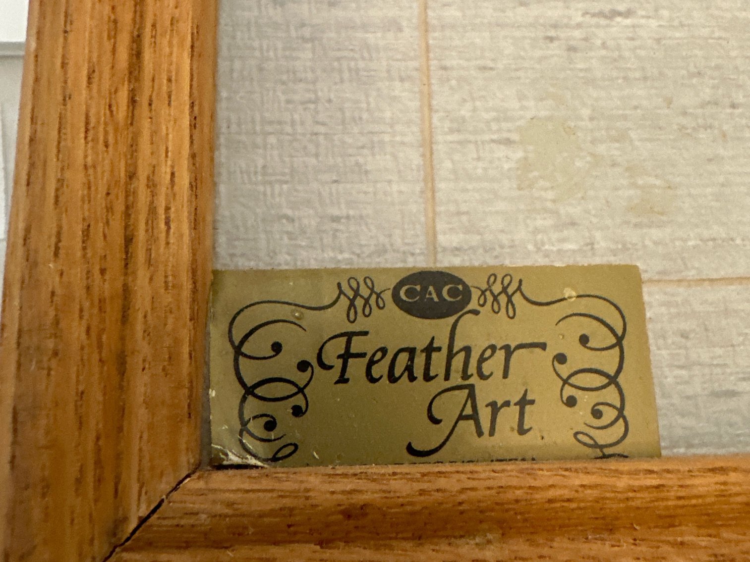 Image for Feather art framed