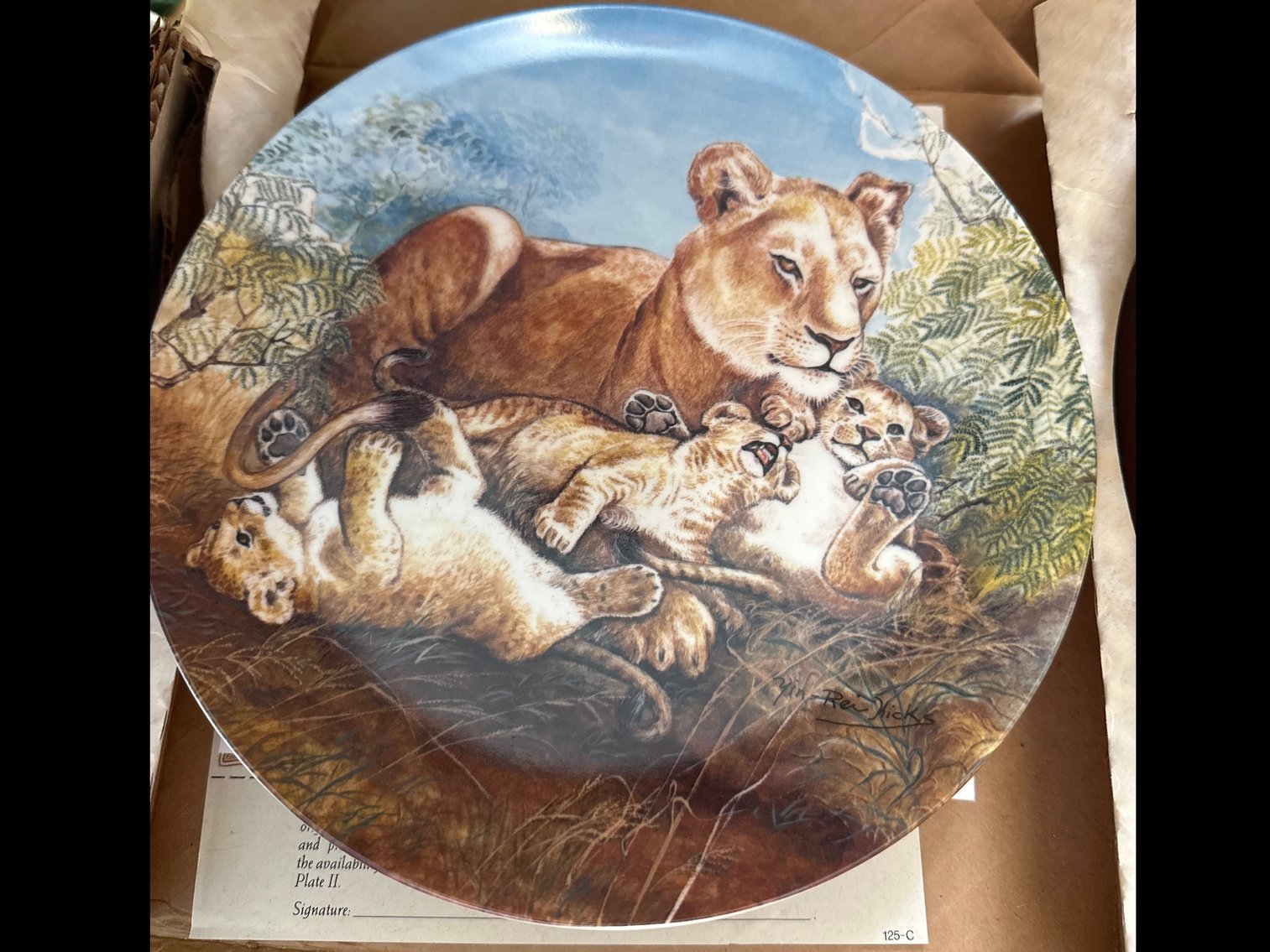 Image for Edwin MK Nowles plates (12)