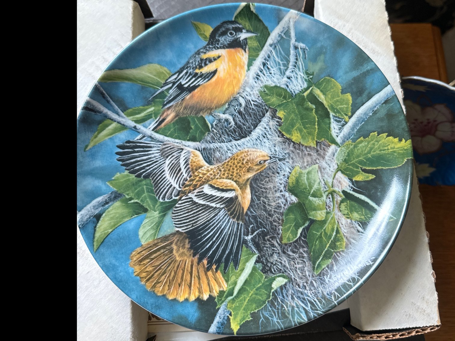 Image for Edwin MK Nowles plates (12)