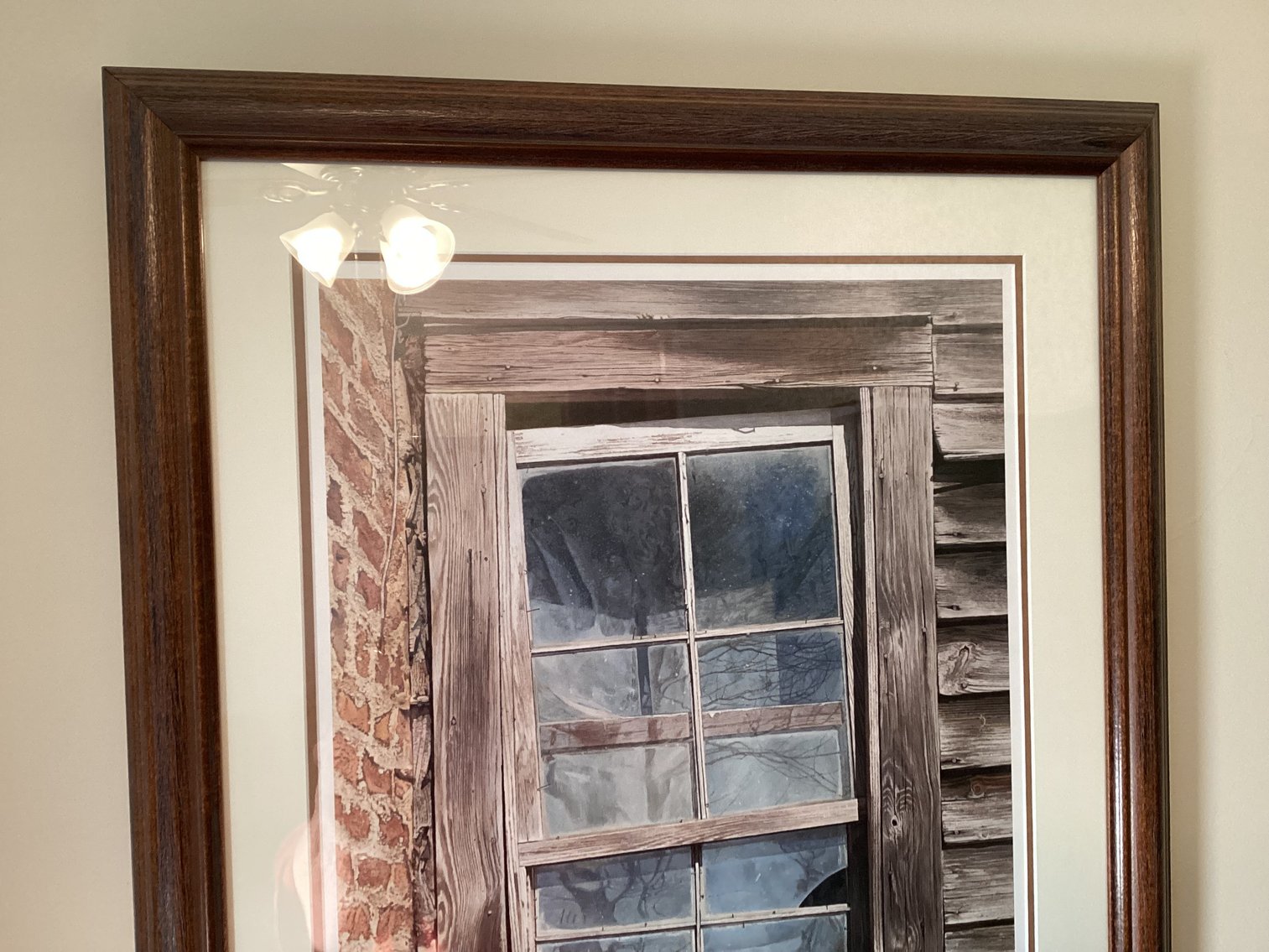 Image for Print - Crowder Ridge Pansies