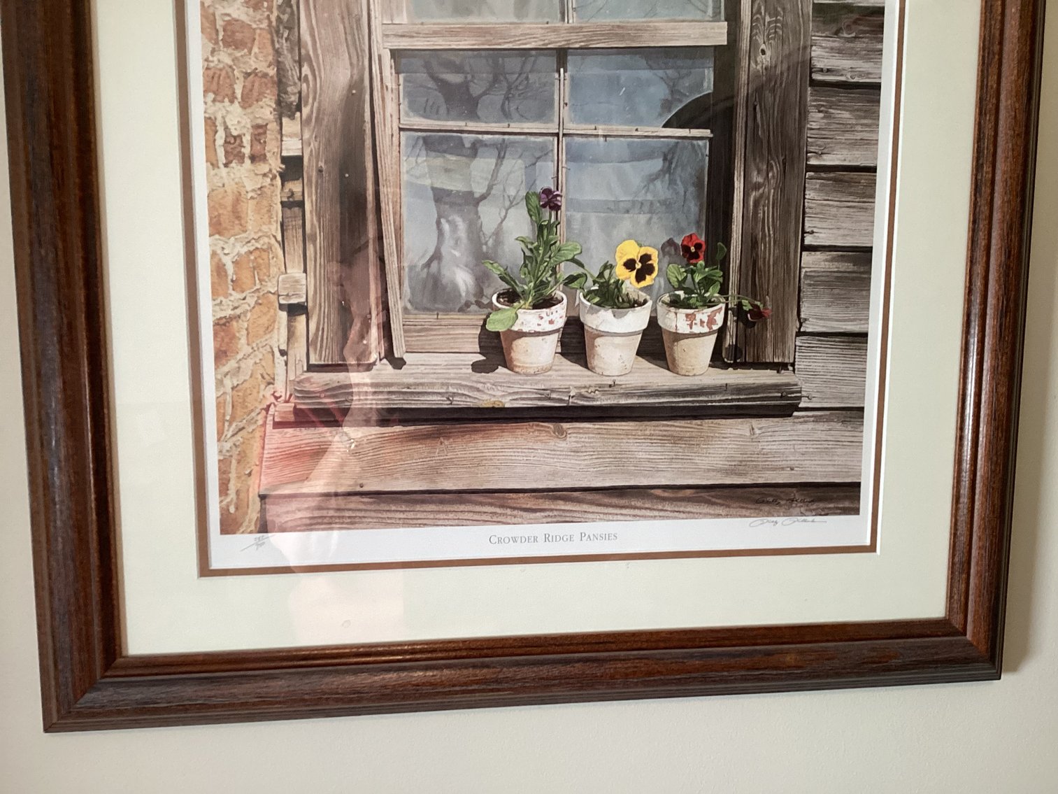 Image for Print - Crowder Ridge Pansies
