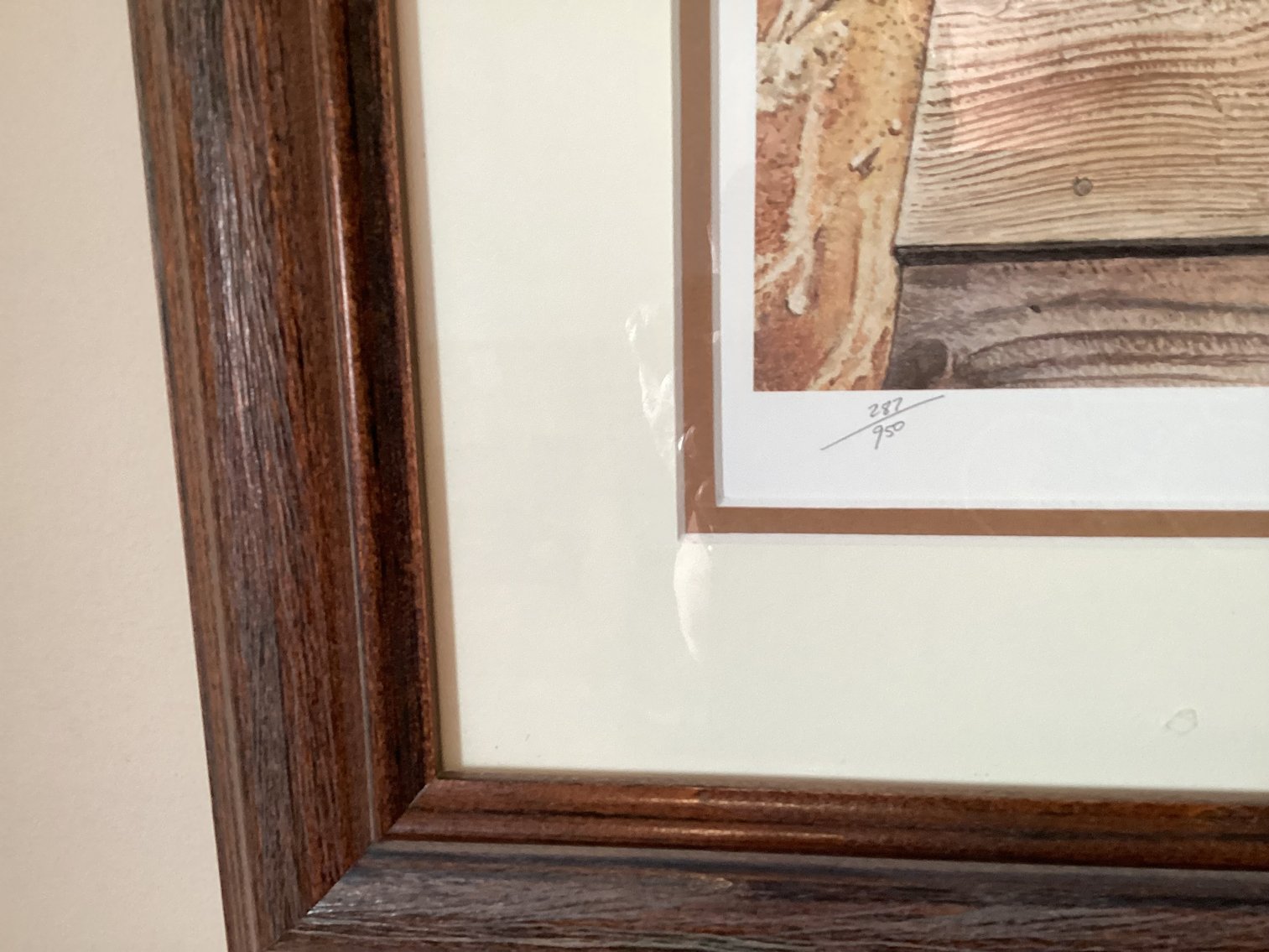 Image for Print - Crowder Ridge Pansies