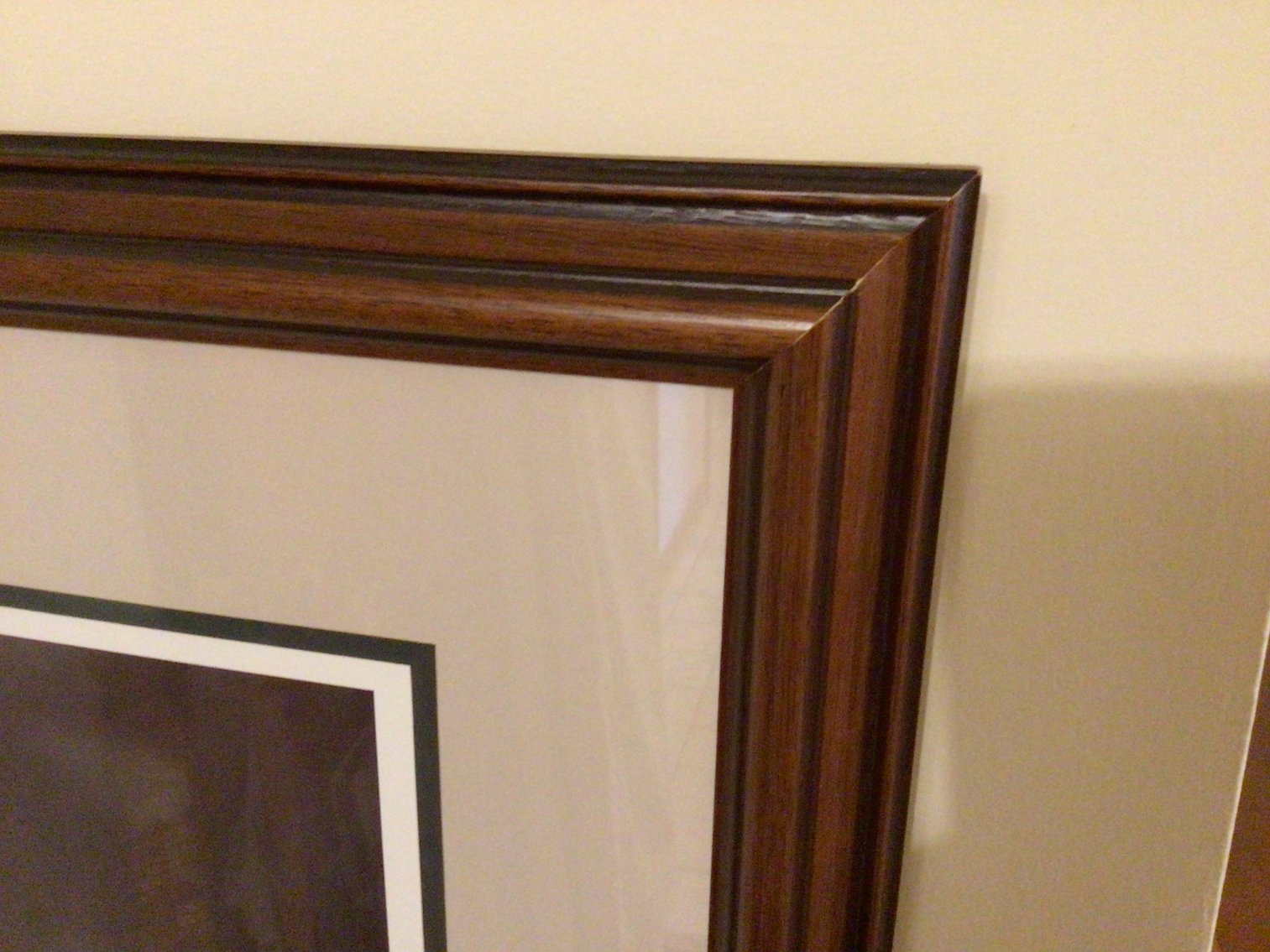 Image for Framed print