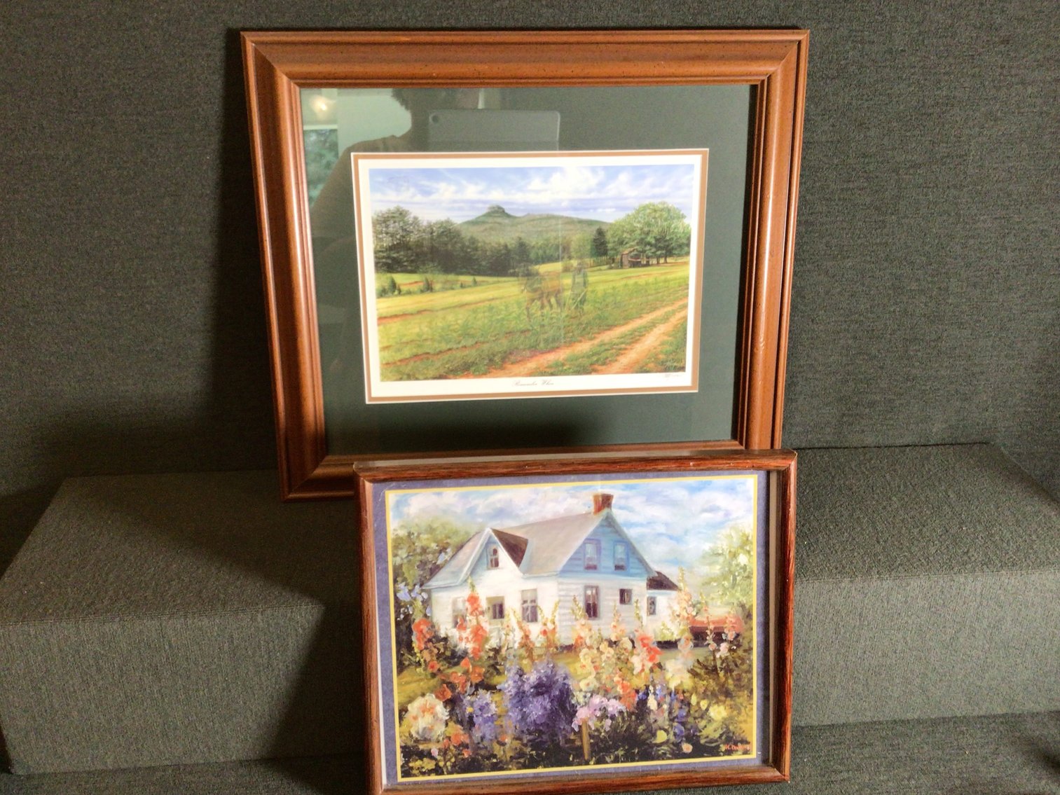 Image for Framed Art - set of 2