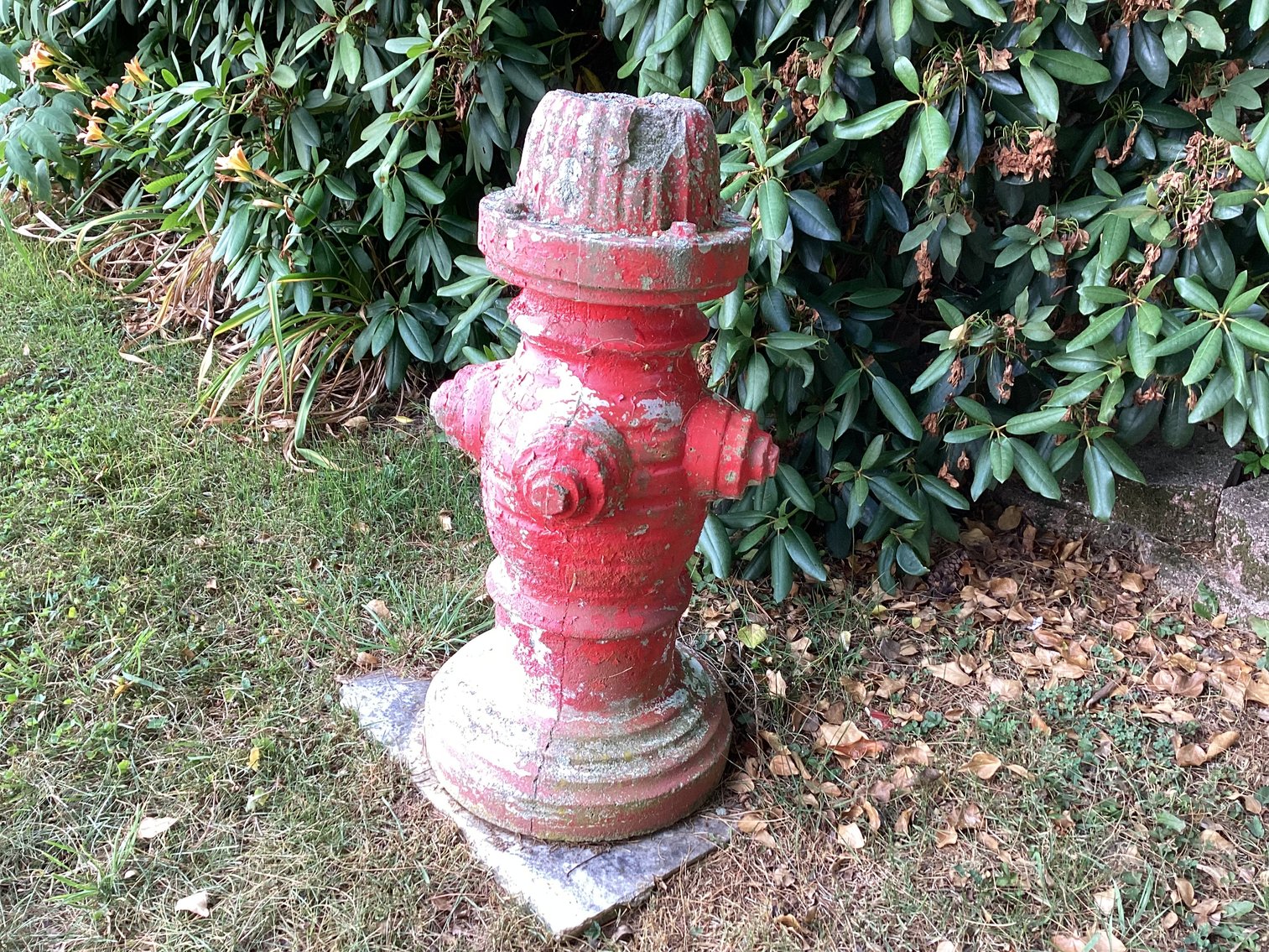 Image for Concrete Fire Hydrant