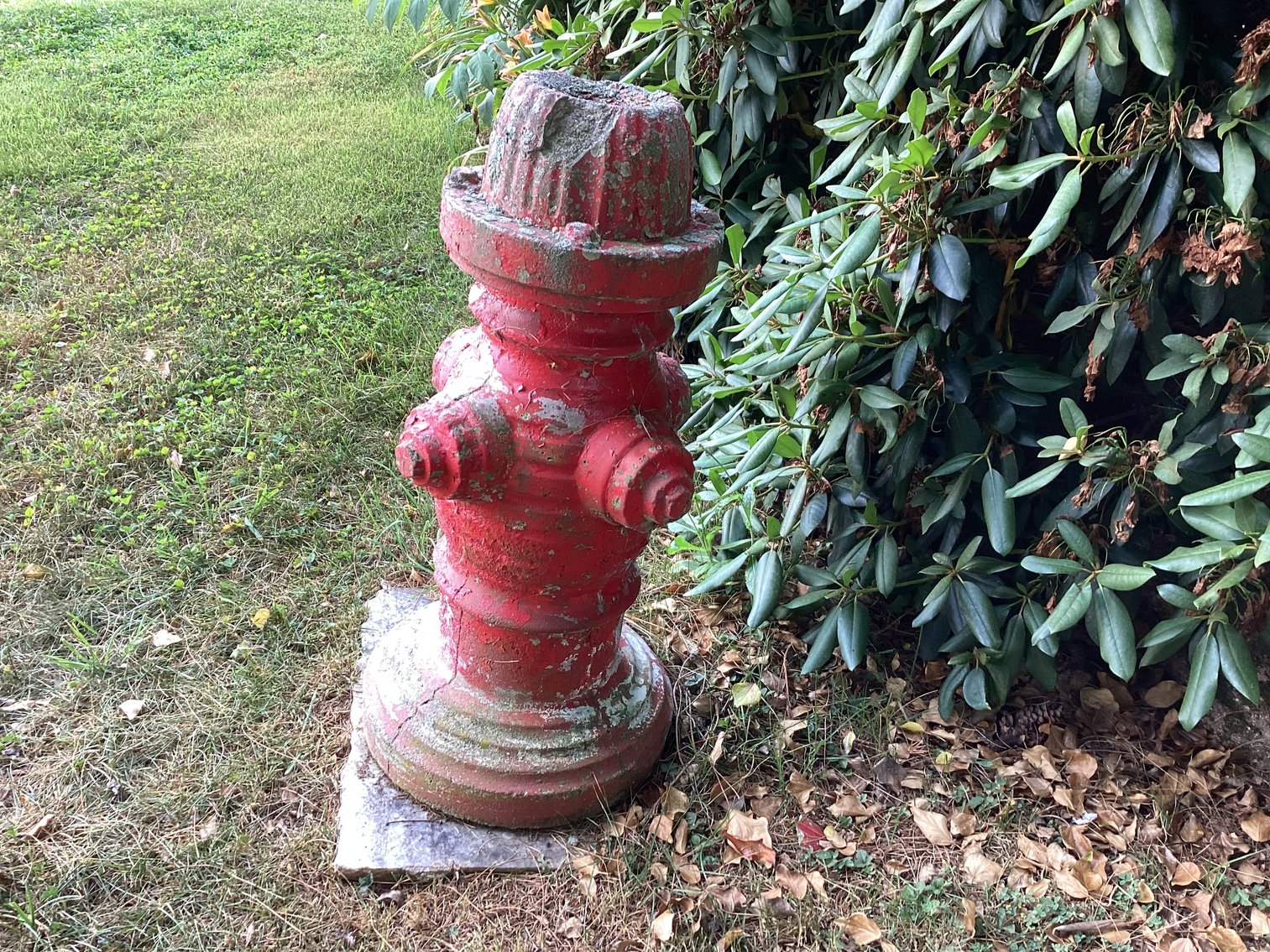 Image for Concrete Fire Hydrant