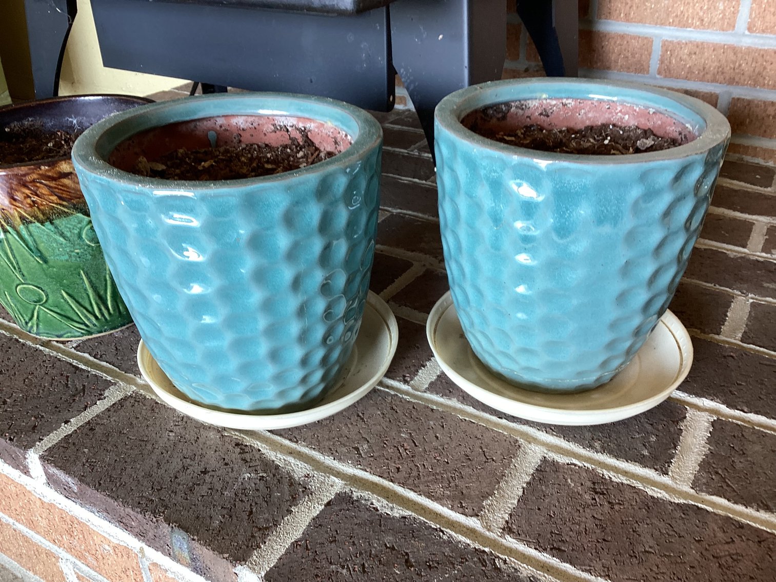 Image for Flower Pots and Plant Stand