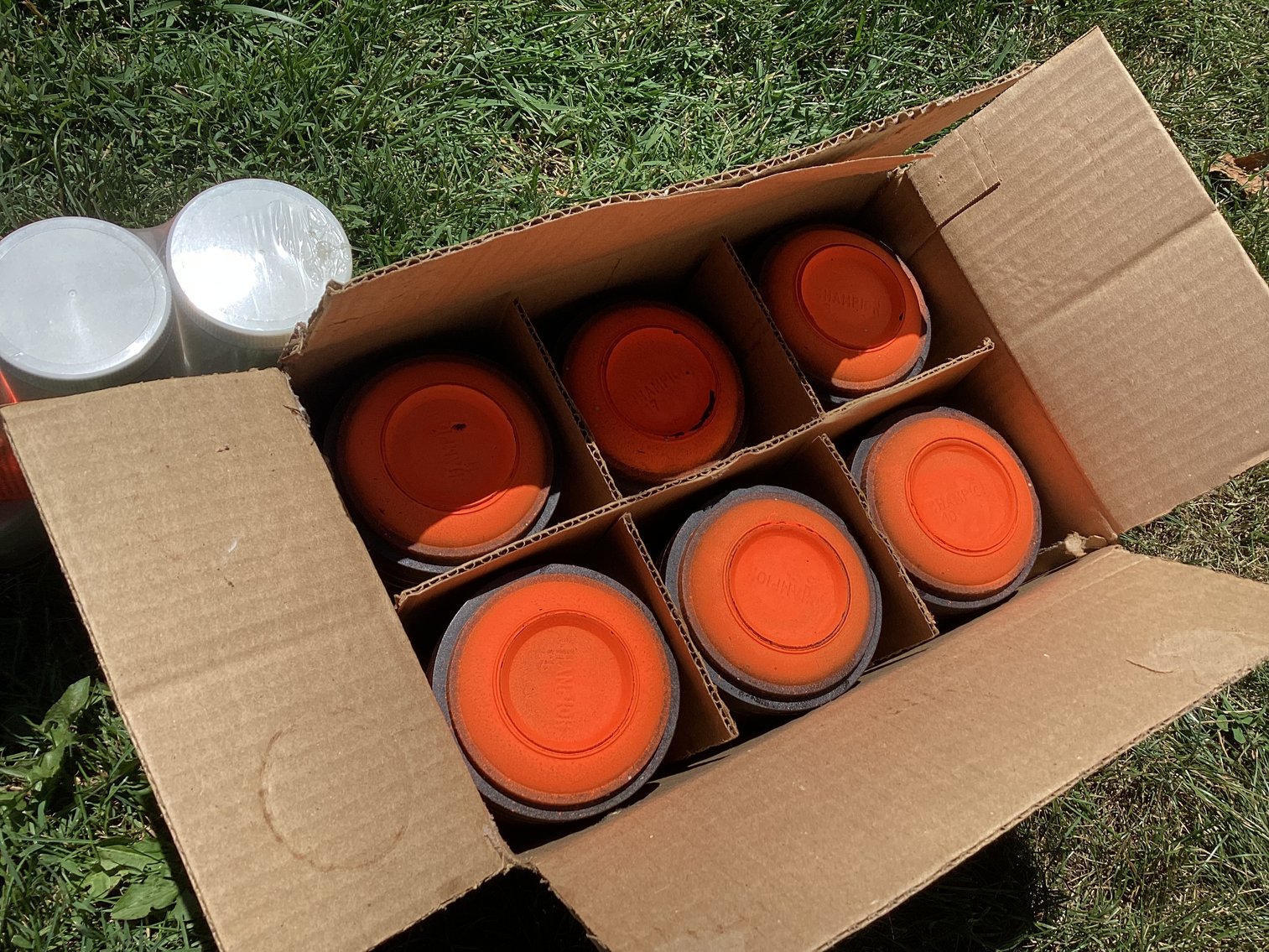 Image for Sporting Clays