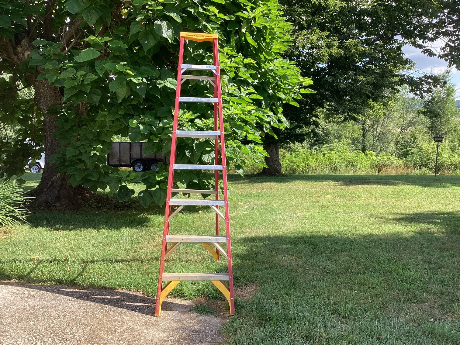 Image for 8’  Fiberglass Ladder