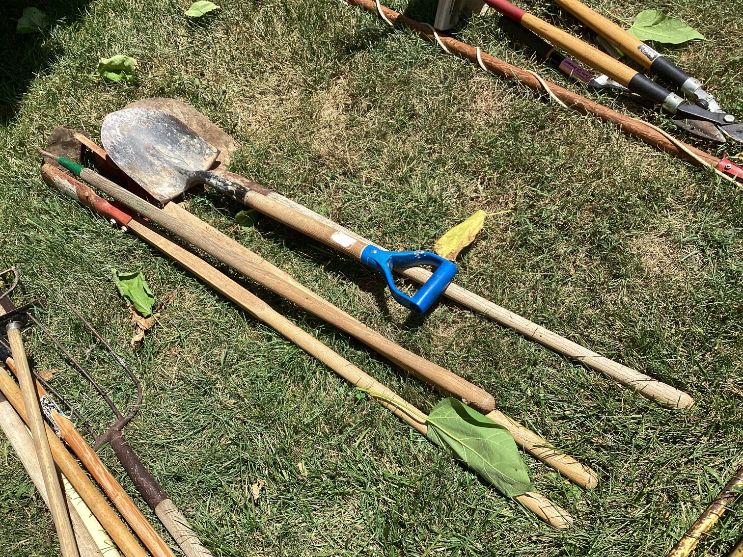 Image for Shovels and Yard Tools