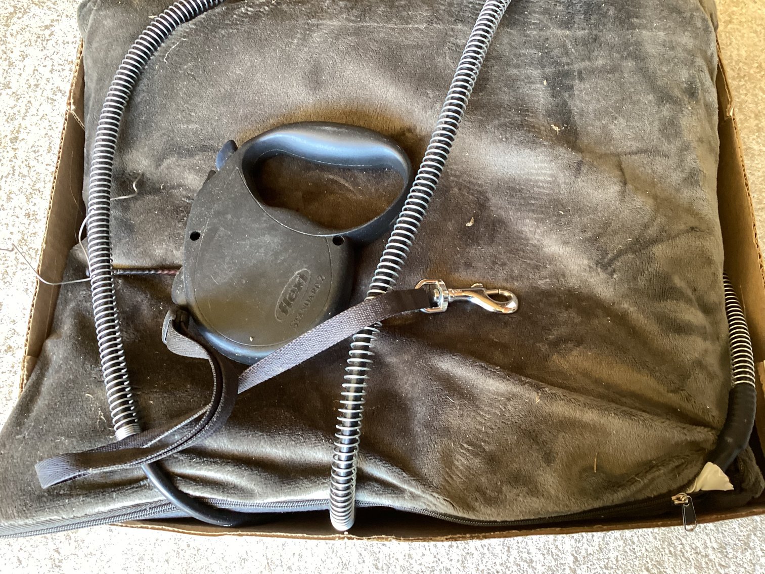 Image for Heated Dog Bed and Leash