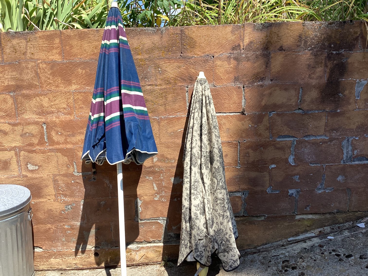 Image for Picnic Umbrellas