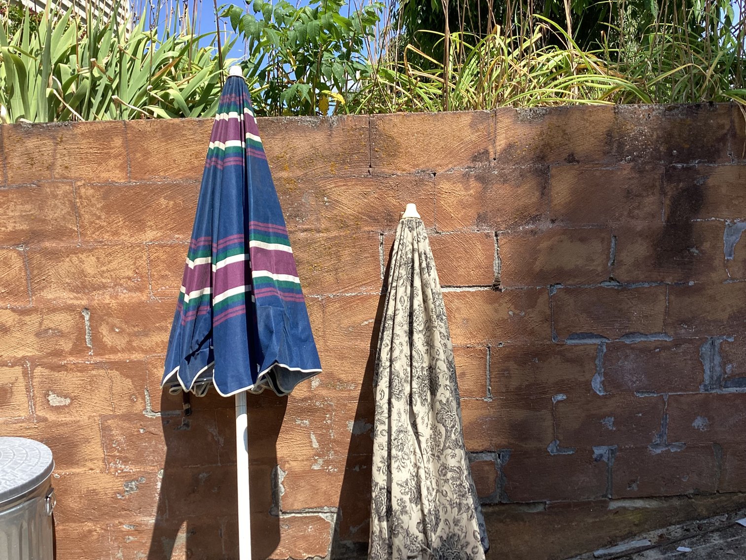 Image for Picnic Umbrellas