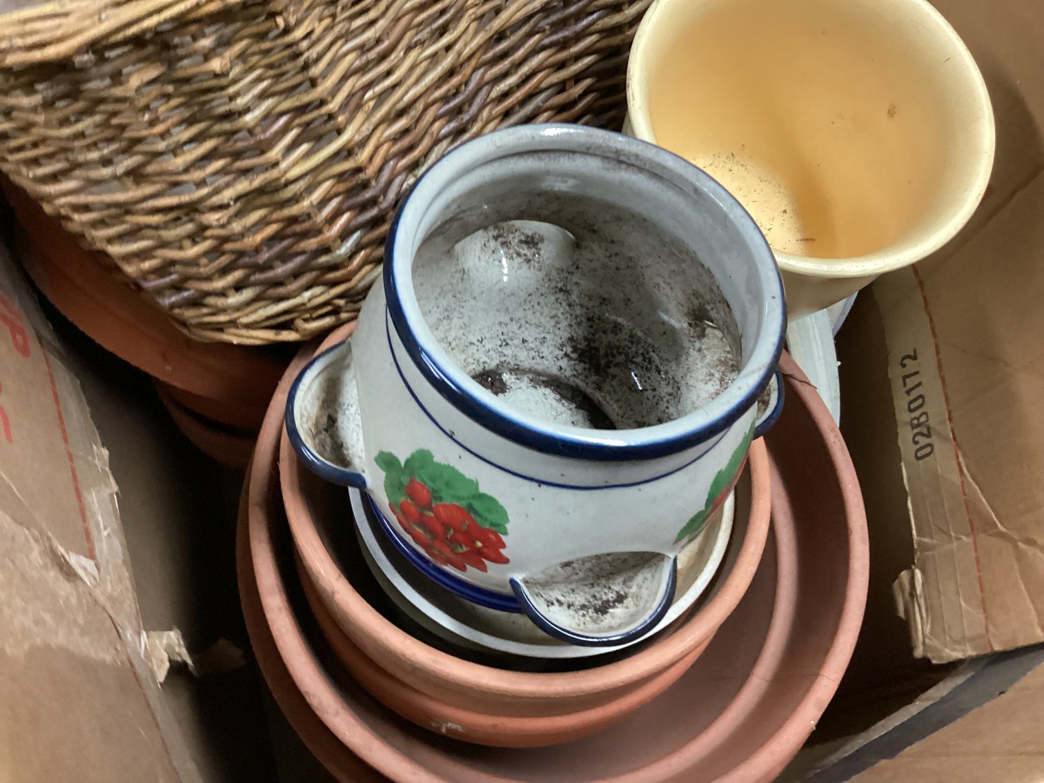 Image for Collection of flower pots