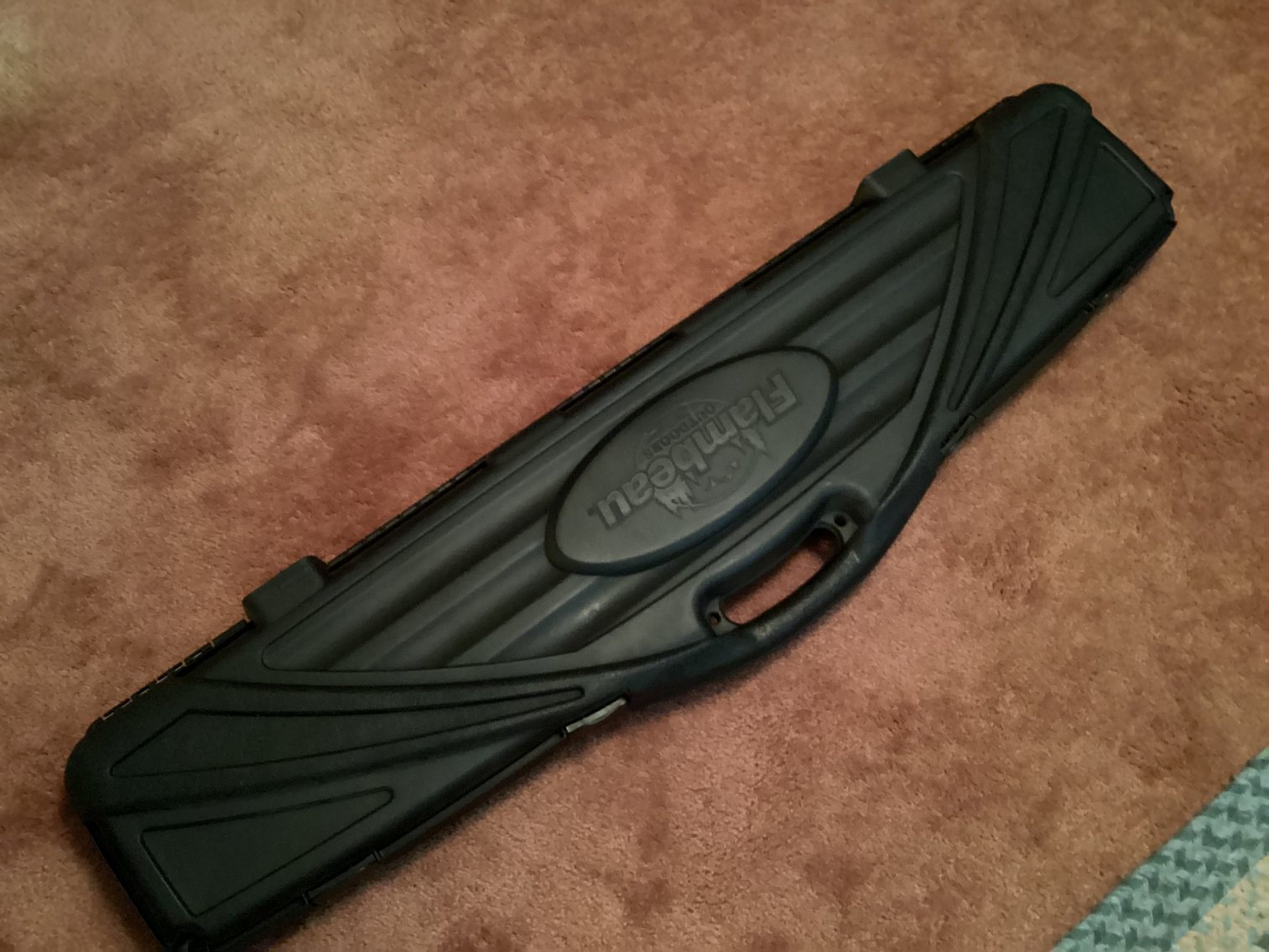 Image for Hard Shell Gun Carrying Case
