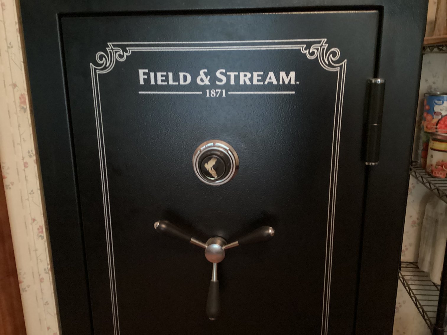 Image for Field and Stream Gun Safe