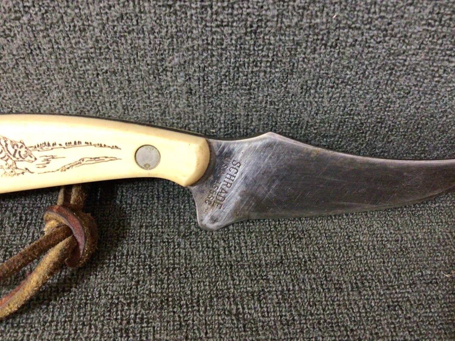 Image for Schrade 155SC knife in sheath