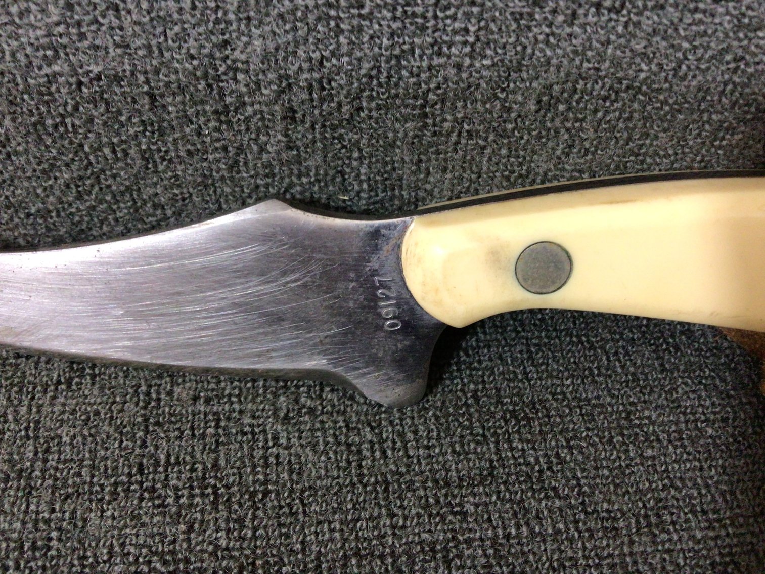 Image for Schrade 155SC knife in sheath