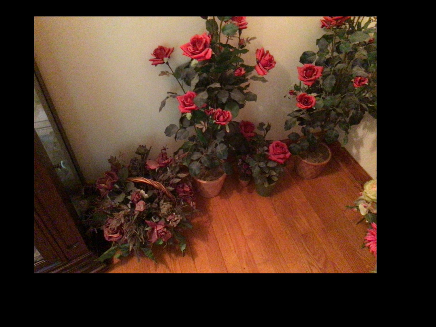 Image for Rose bush arrangements and silk flowers