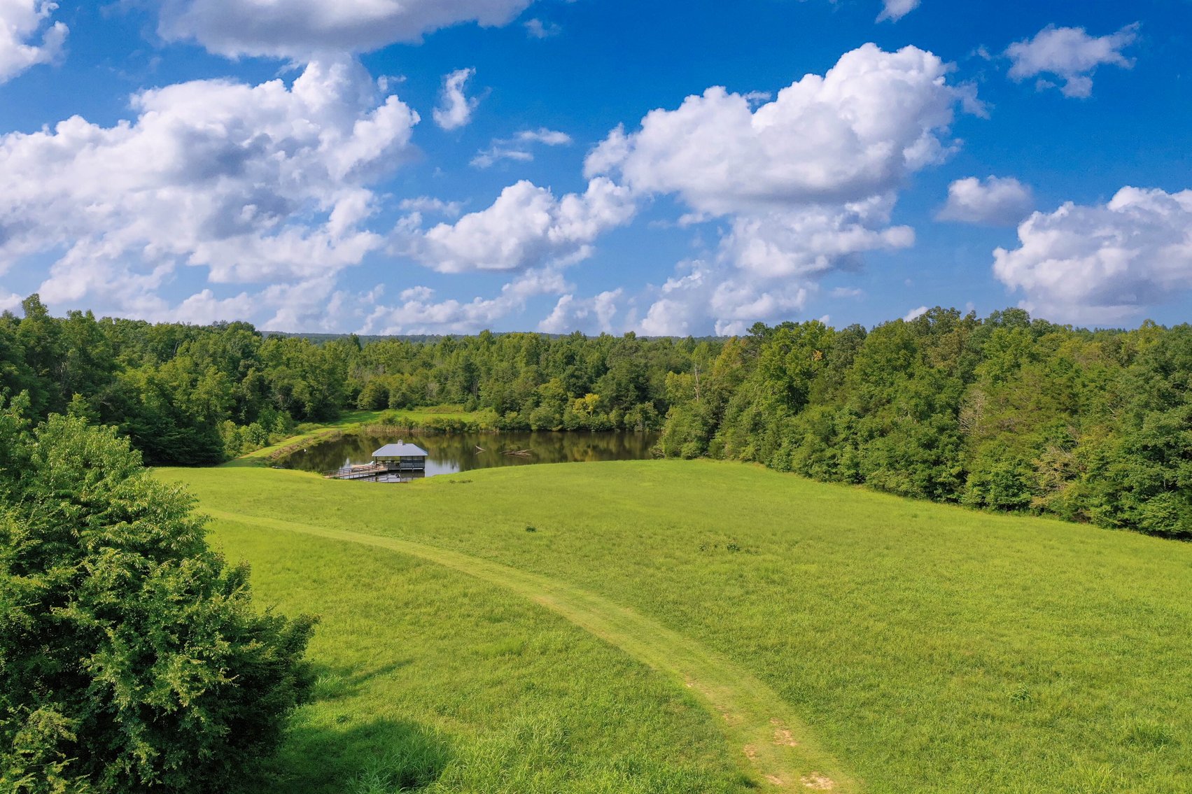 Image for Hickory Hill 104 +/- acres