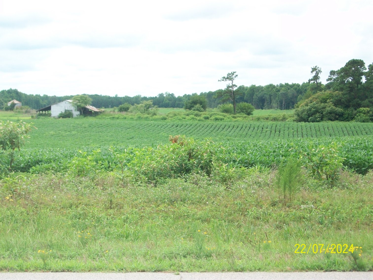 Image for Tract 1 - 414.838 acres