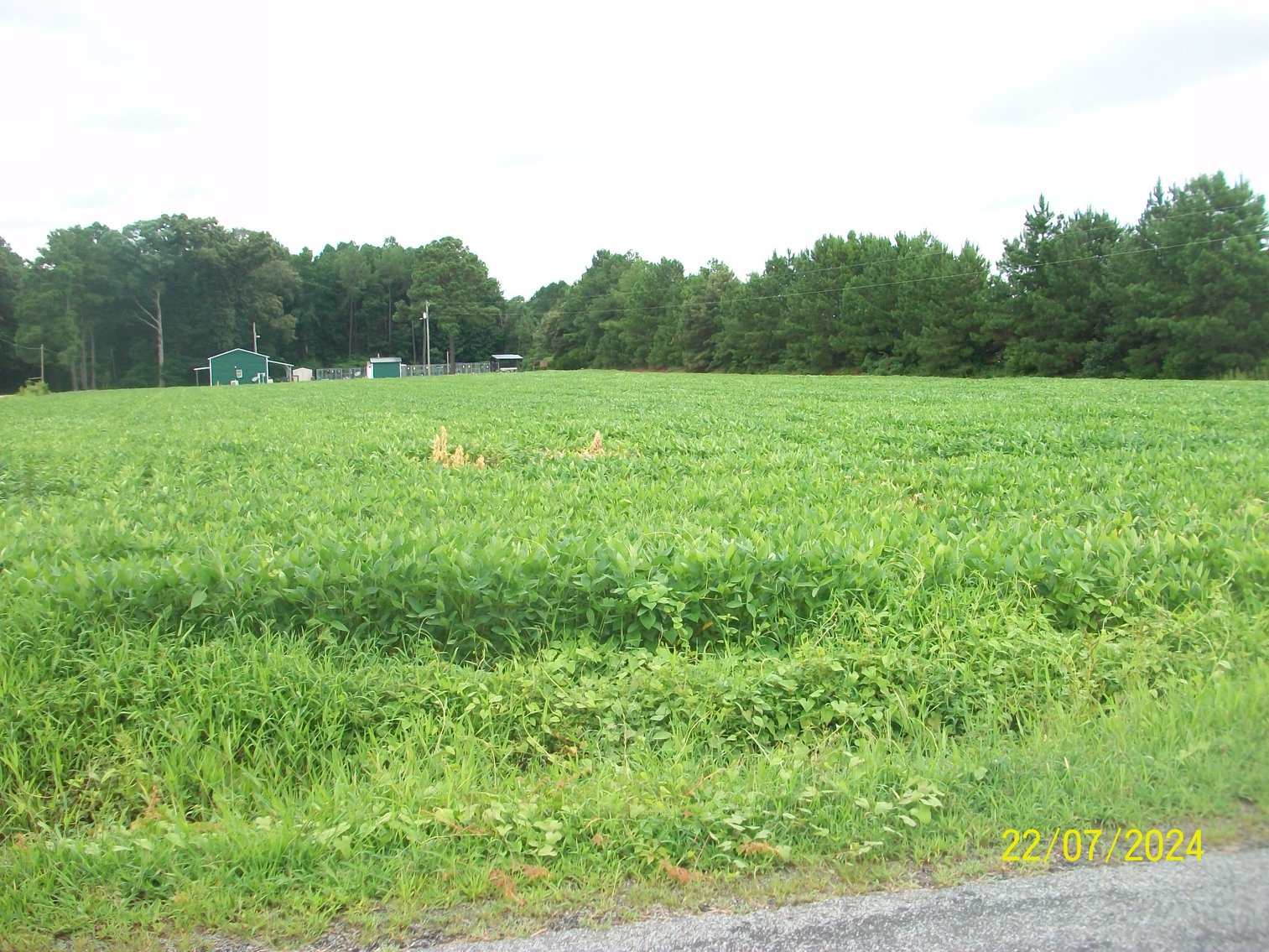 Image for Tract 1 - 414.838 acres