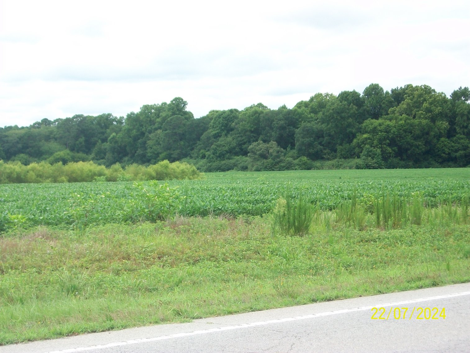 Image for Tract 2 - 206.38 acres