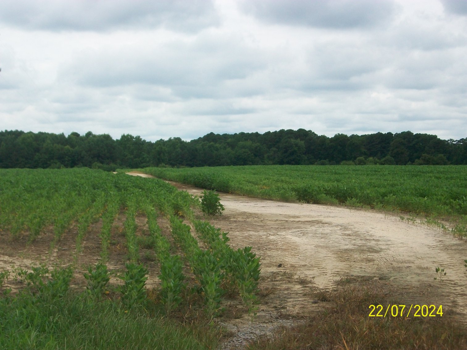 Image for Tract 3 - 150.3 acres